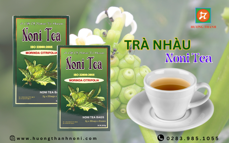 Trà Nhàu có hương vị đặc trưng, mang đến nhiều lợi ích cho sức khỏe